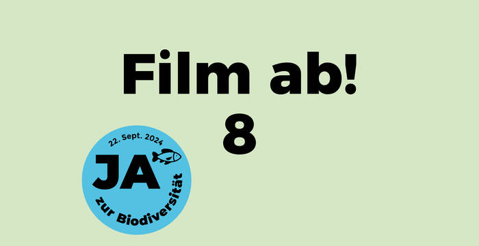 Film ab! 8